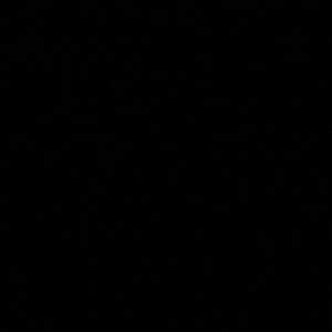 Meet your Posher, Valerie